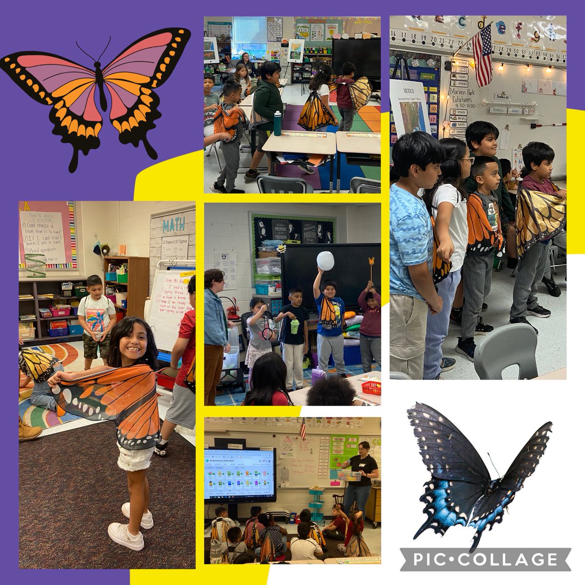 Dr. Gregory Mihalik (@dr_mihalik) on Twitter photo 2nd grade learned about butterfly life cycles through station rotations led by @MorvenPark today. Many thanks for bringing the field trip to <a href="/SugarlandES/">Sugarland Elementary</a> to avoid rainy weather 🦋 2nd grade learned about butterfly life cycles through station rotations led by @MorvenPark today. Many thanks for bringing the field trip to <a href="/SugarlandES/">Sugarland Elementary</a> to avoid rainy weather 🦋