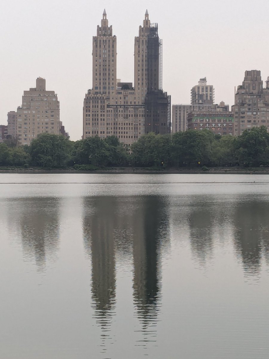 elethereal's tweet image. Reflexion in gray