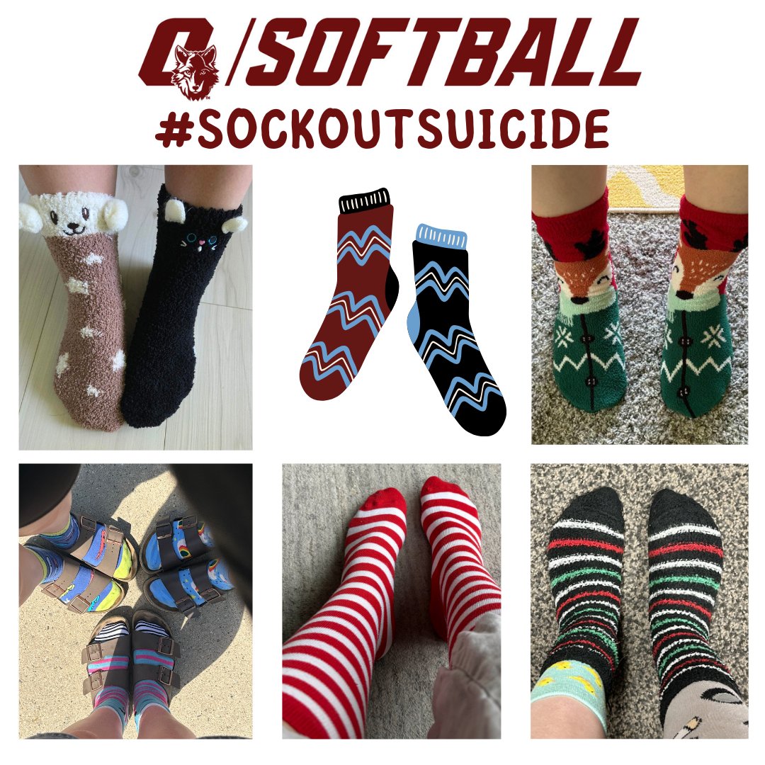 Okemos Wolves Softball tweet media