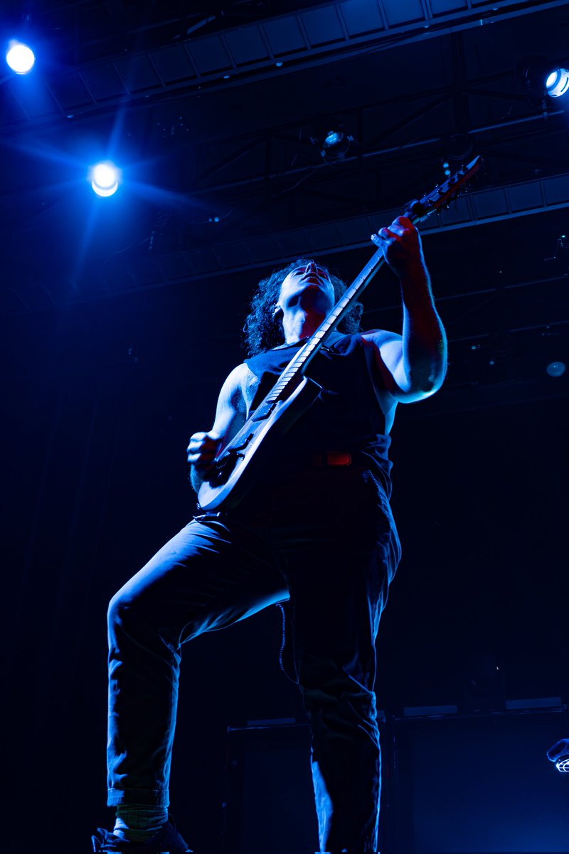 Lunar Liz 🌙 tweet media