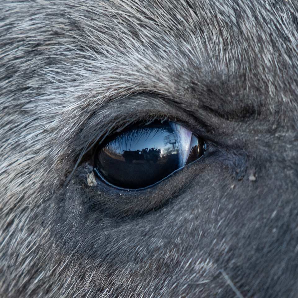 "سيأتي شخص يُحبك كما أنت، يُهديك الأمان الذي تفتقده، يعاملك كما يستحق قلبك تمامًا.