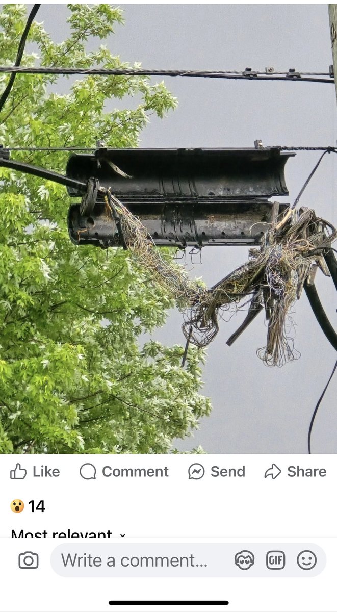 Persnickety Conservative tweet media