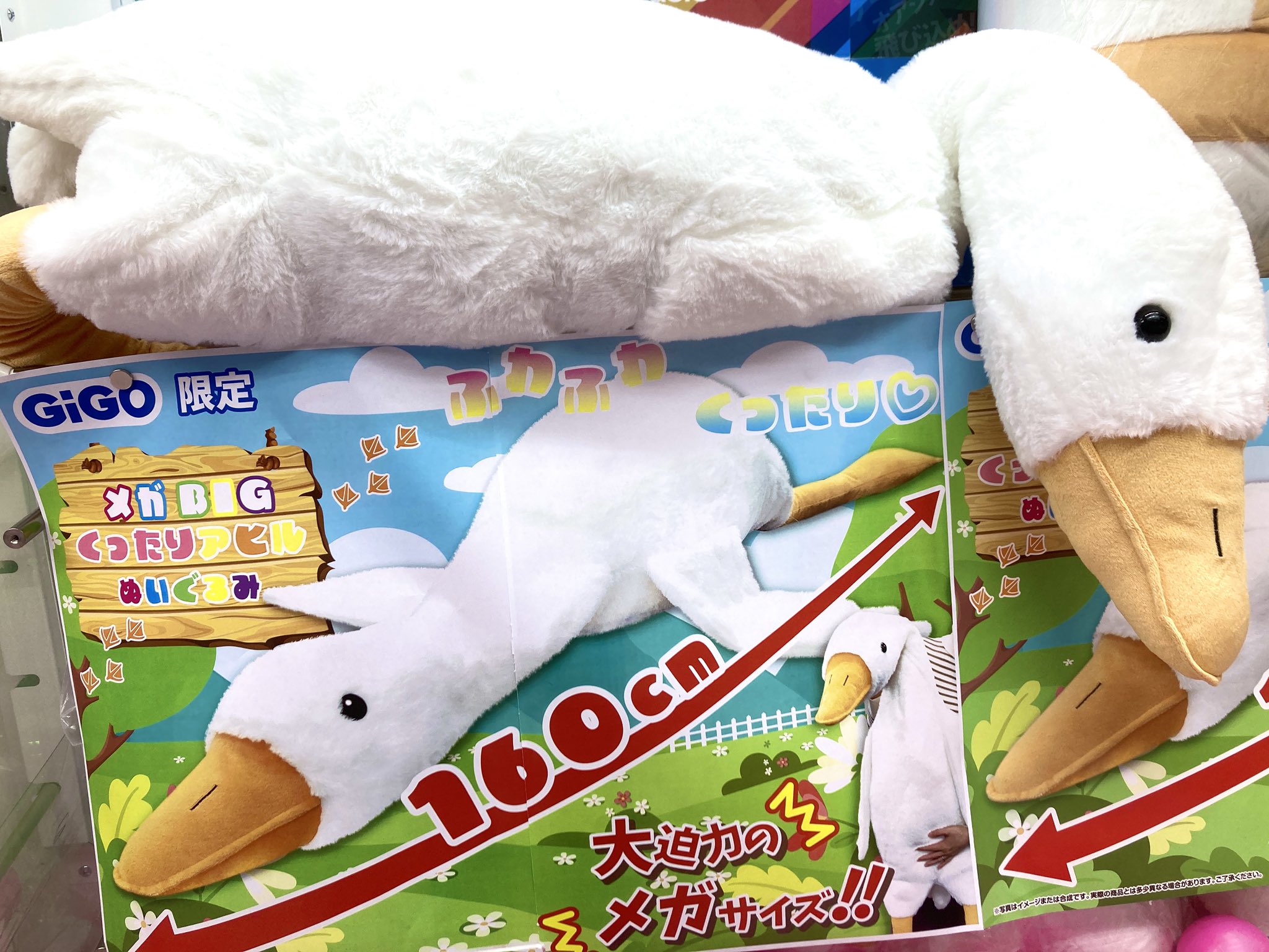 ゼニス新作モデル GiGO 福島  X: on ぬいぐるみ