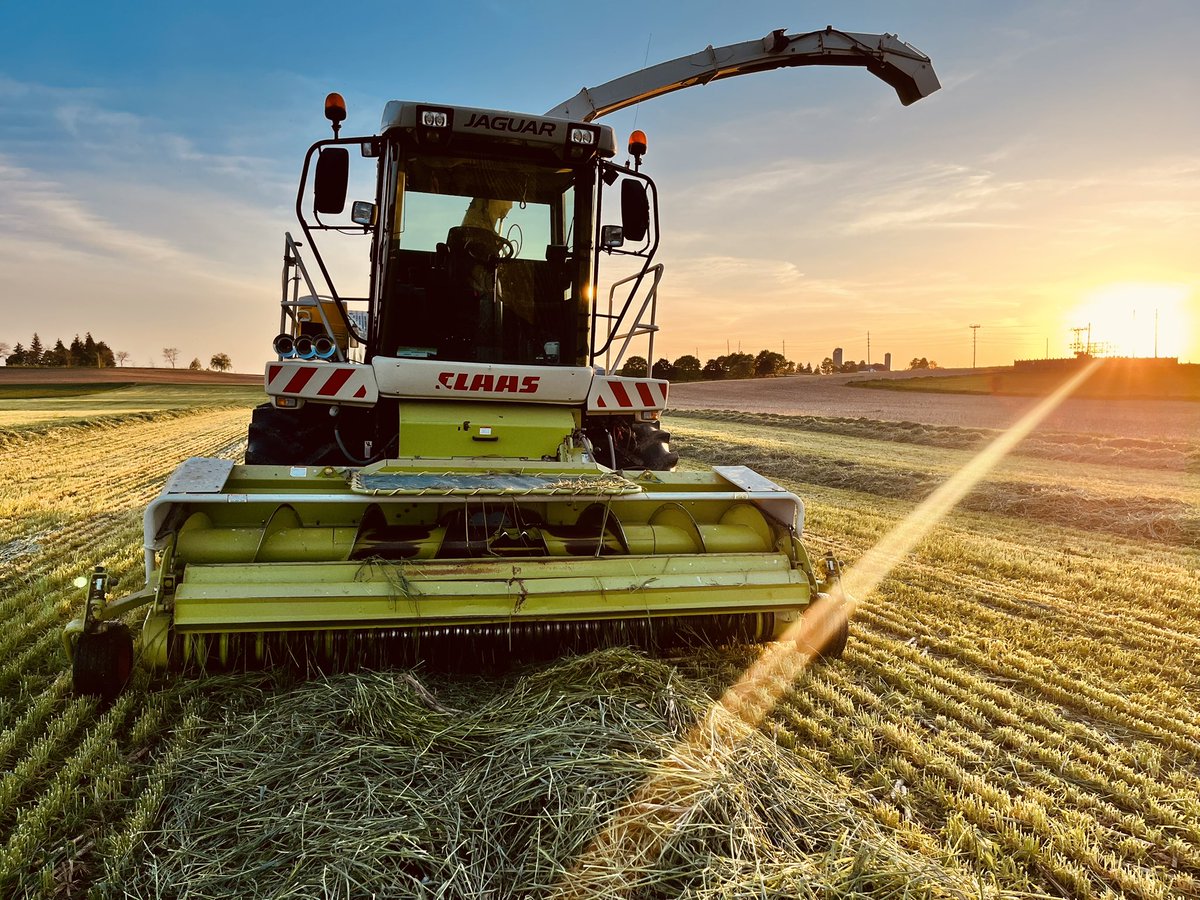 Is the mandatory first day of harvest picture a thing? If so… here you go!