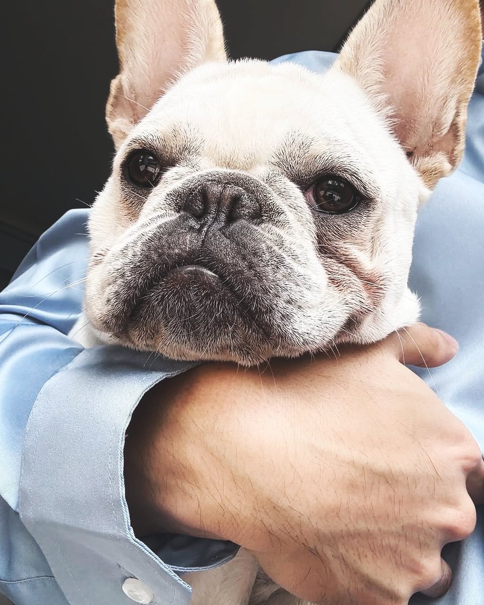 𝖢𝗁𝖾𝗇. tweet media