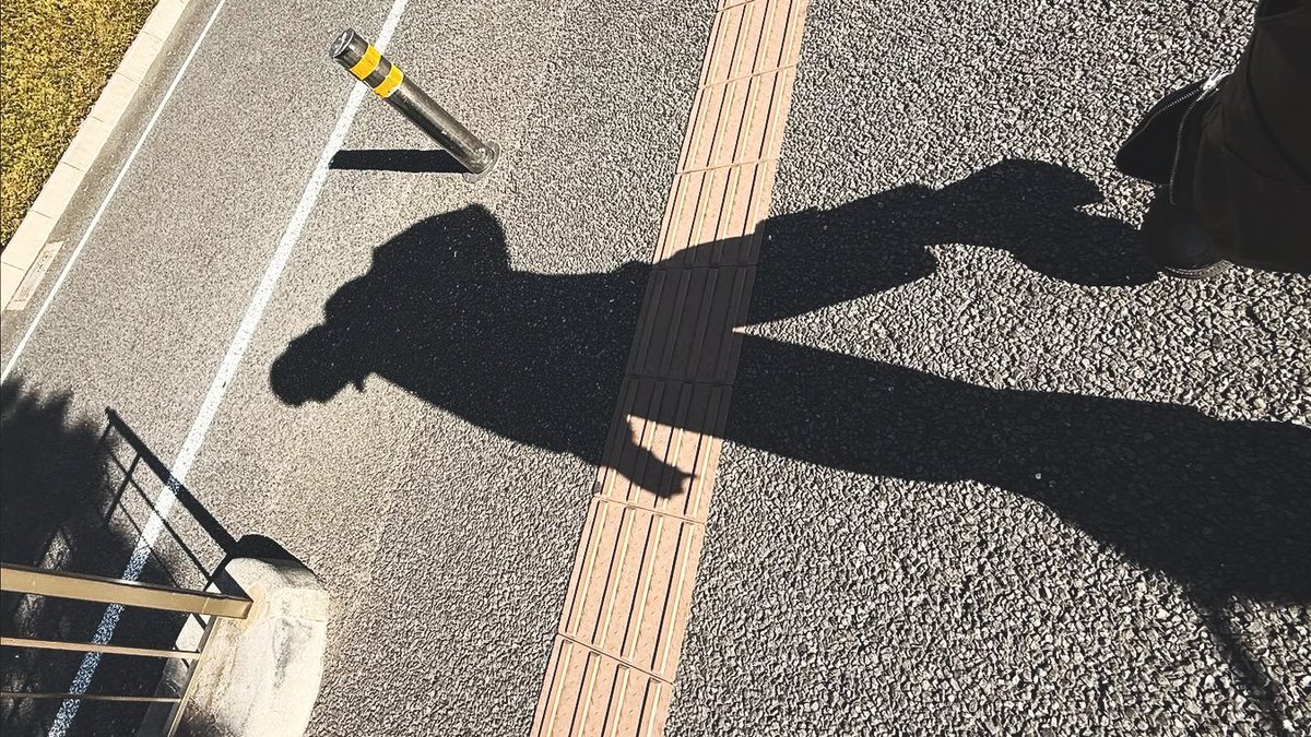 𝖢𝗁𝖾𝗇. tweet media