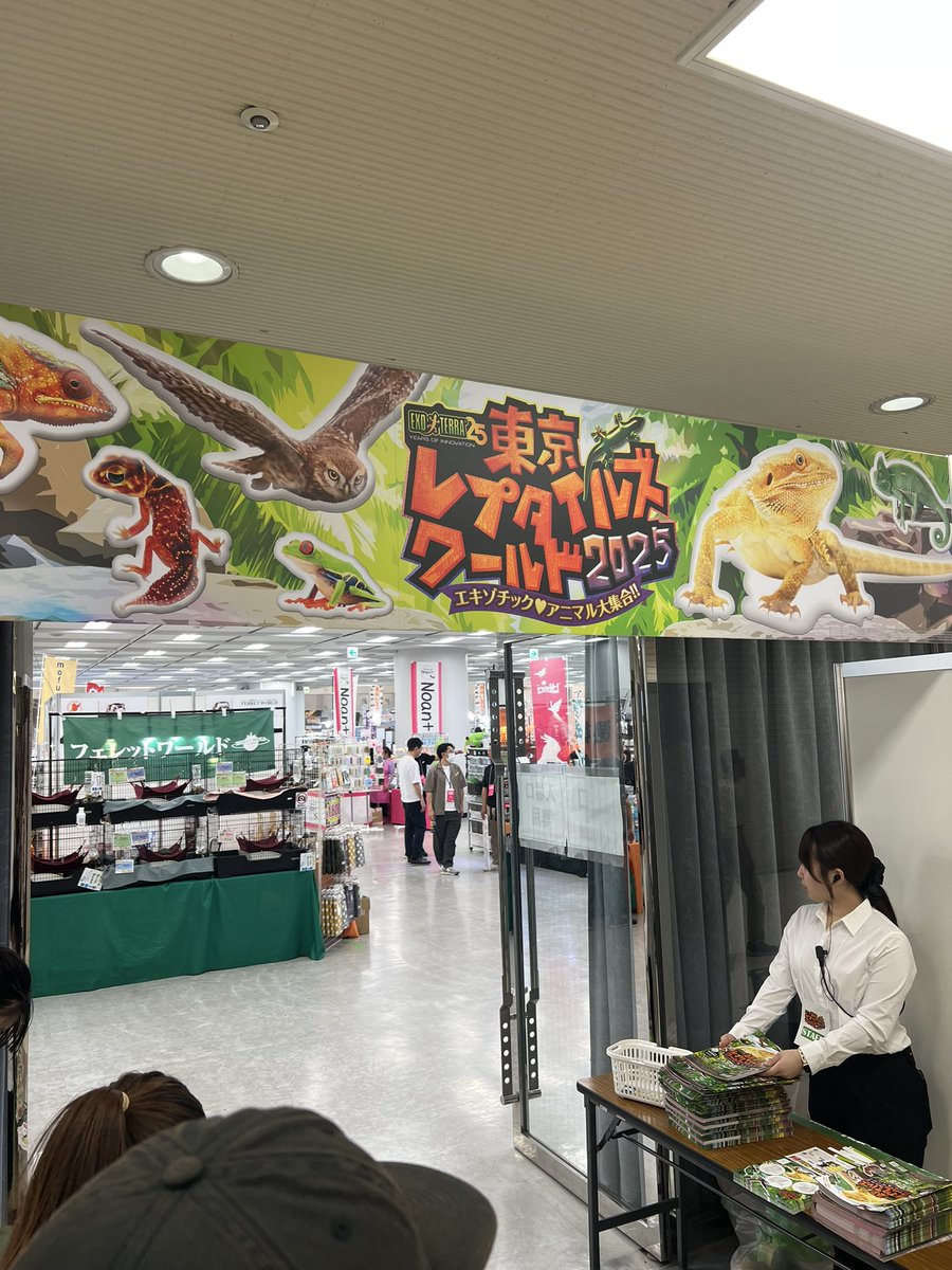 ows1326941's tweet photo. いざ！

#東レプ
#東京レプタイルズワールド
#東京レプタイルズワールド2025
#爬虫類 https://t.co/6WfvfNsVGO