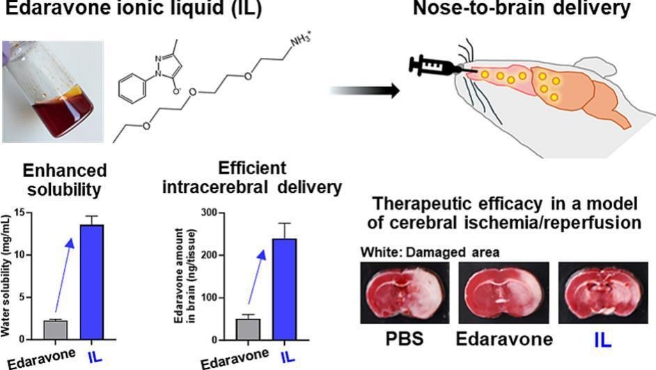 JCRnEDITORS's tweet image. Intracerebral delivery of the ionic liquid form of edaravone via nose-to-brain delivery route for treating cerebral ischemia/reperfusion injury.
| Tatsuya Fukuta, Wakayama Medical Univ. |
[50 days&apos; free access]
#IntracerebralDelivery #IonicLiquid
kwnsfk27.r.eu-west-1.awstrack.me/L0/https:%2F%2…