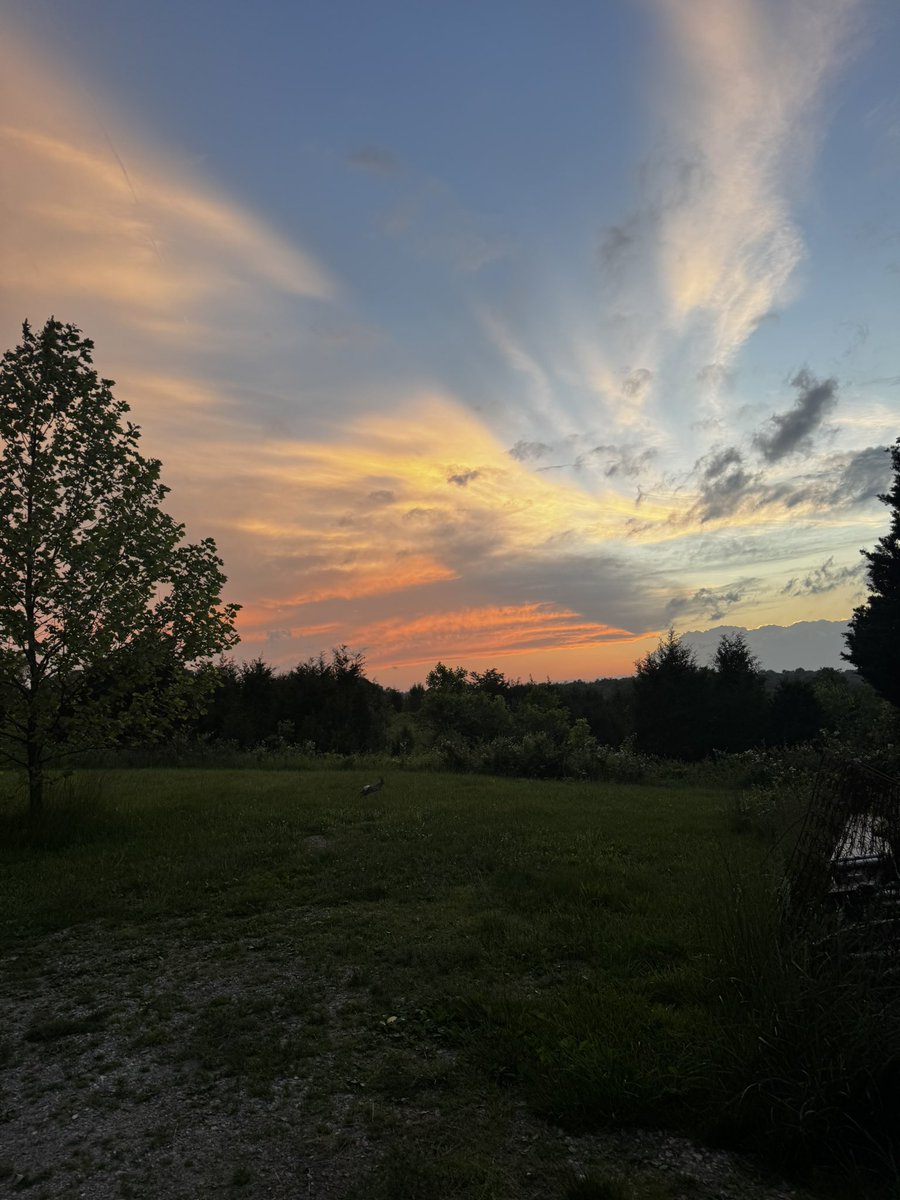 IndianaWilding's tweet photo. Stormy sunset https://t.co/PsHFDtQIis