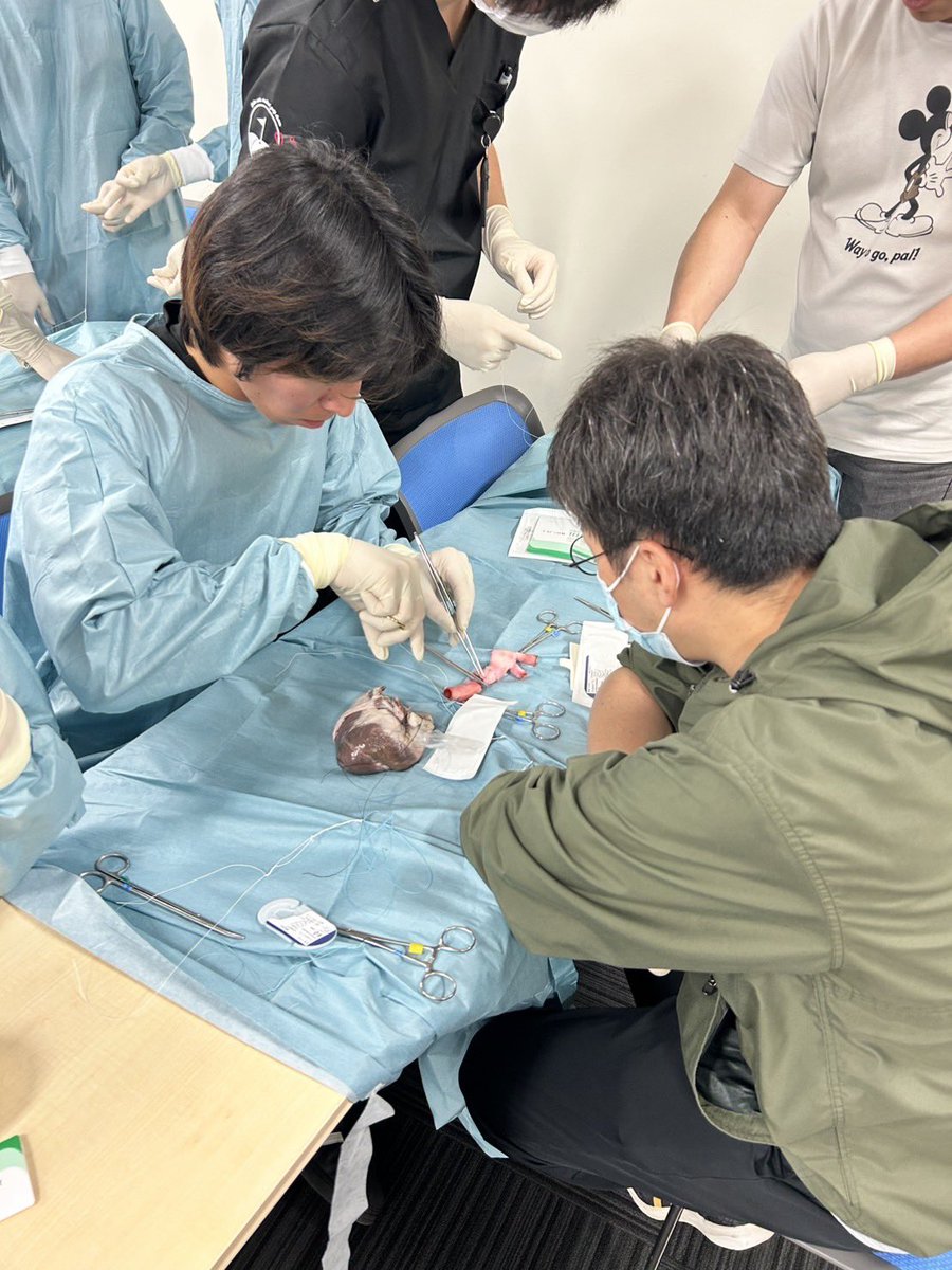 ChibaCVS's tweet photo. 【ウェットラボ開催報告】5/16 wetlabを行いました🫀
今回沢山の学生、研修医の方々にお越しいただきありがとうございます🌸運針がスムーズで驚きました！Ao吻合めっちゃ綺麗だったのも感動です🔥心臓外科に興味ある方はご連絡ください！次は6/6(金)に予定してます🥸
#心臓血管外科　#wetlab https://t.co/D0njqDrsEU