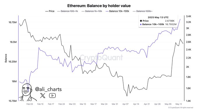 🚨 BREAKING: "Whales delle Criptovalute: Accumulano oltre 450.000 Ethereum in un mese"