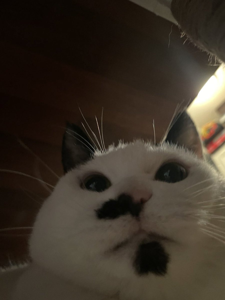 이 계정 후기 찾아볼거라 없애지는 않을건데 로그아웃할게요~~ 
안뇽