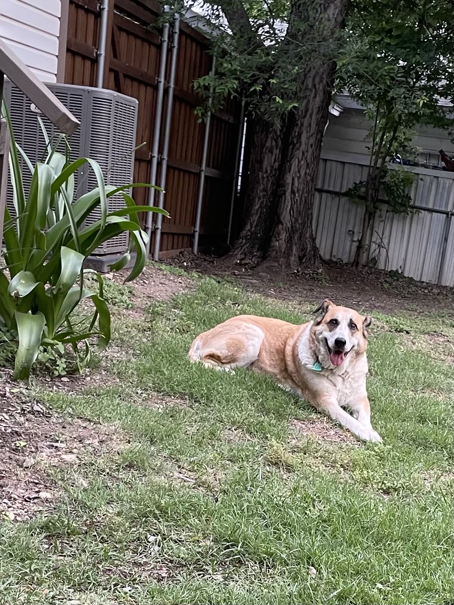 My Maxine is so killin’ the Friday chill vibe!!!