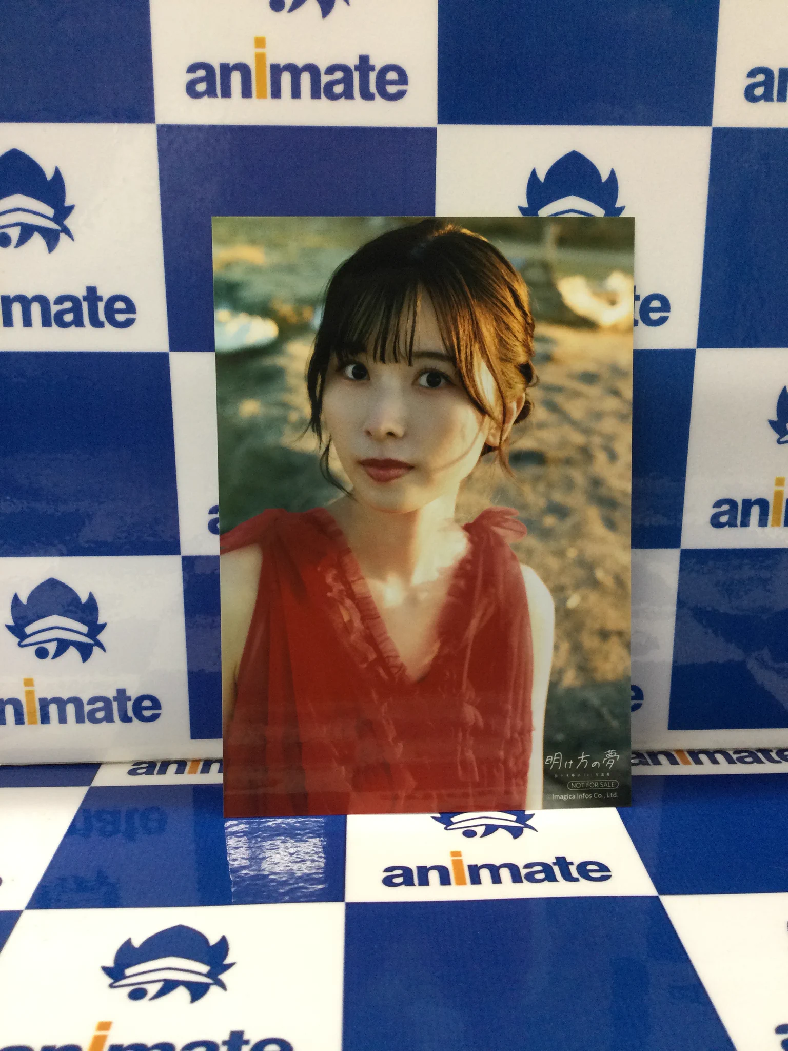 アニメイト池袋本店 on X: 