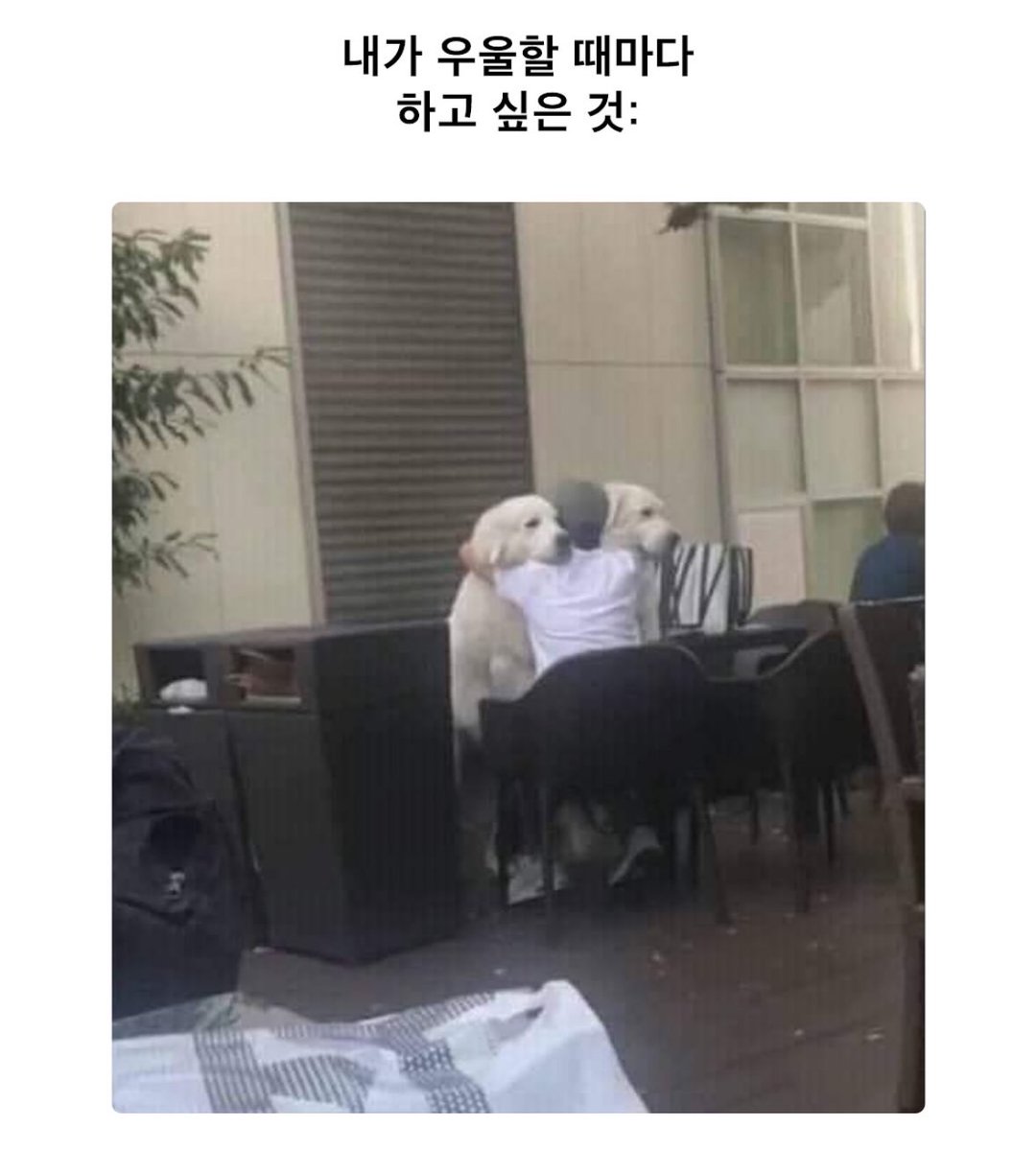 내가 우울할 때마다 하고 싶은 것