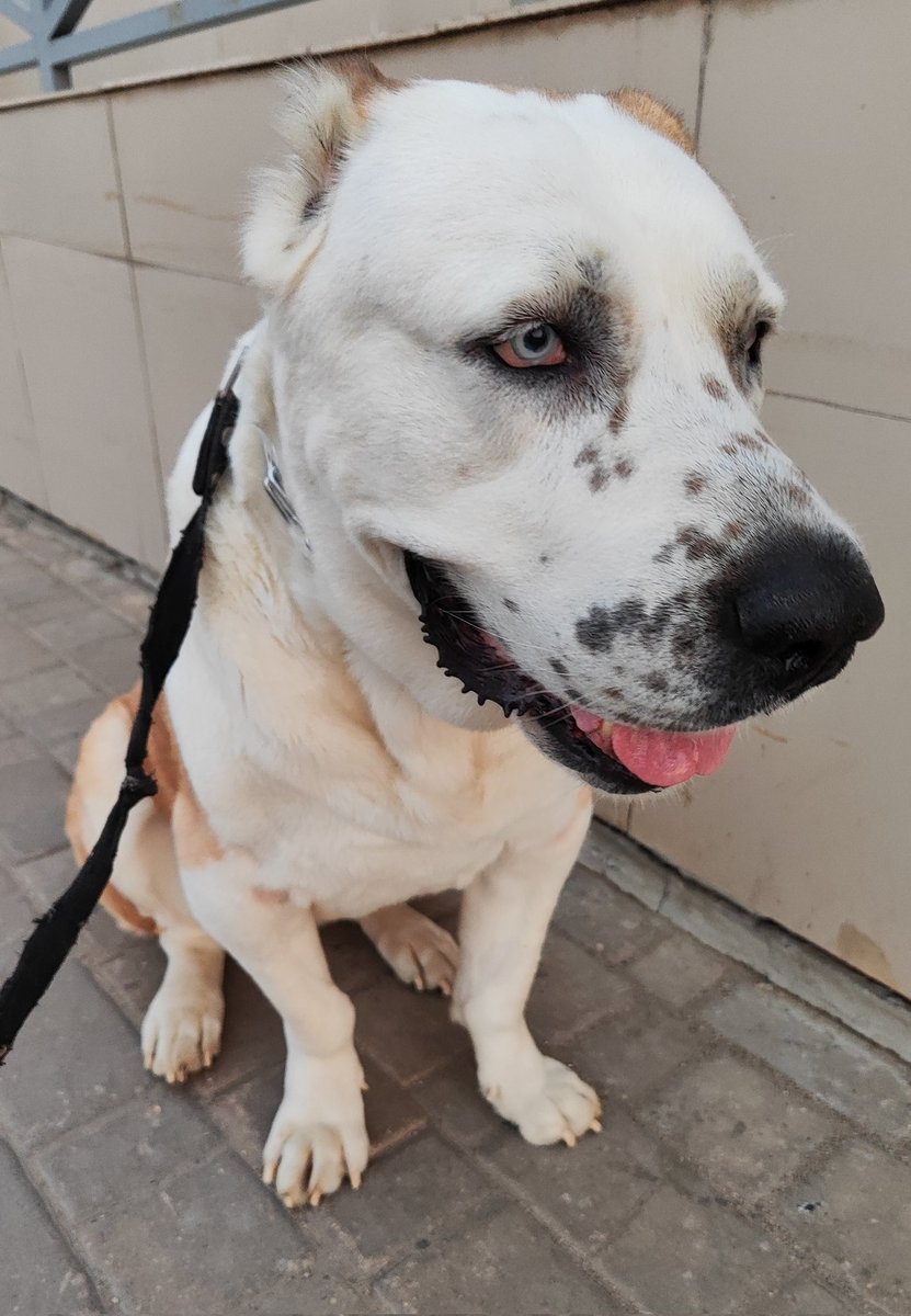 4.10 доброе утро, блд