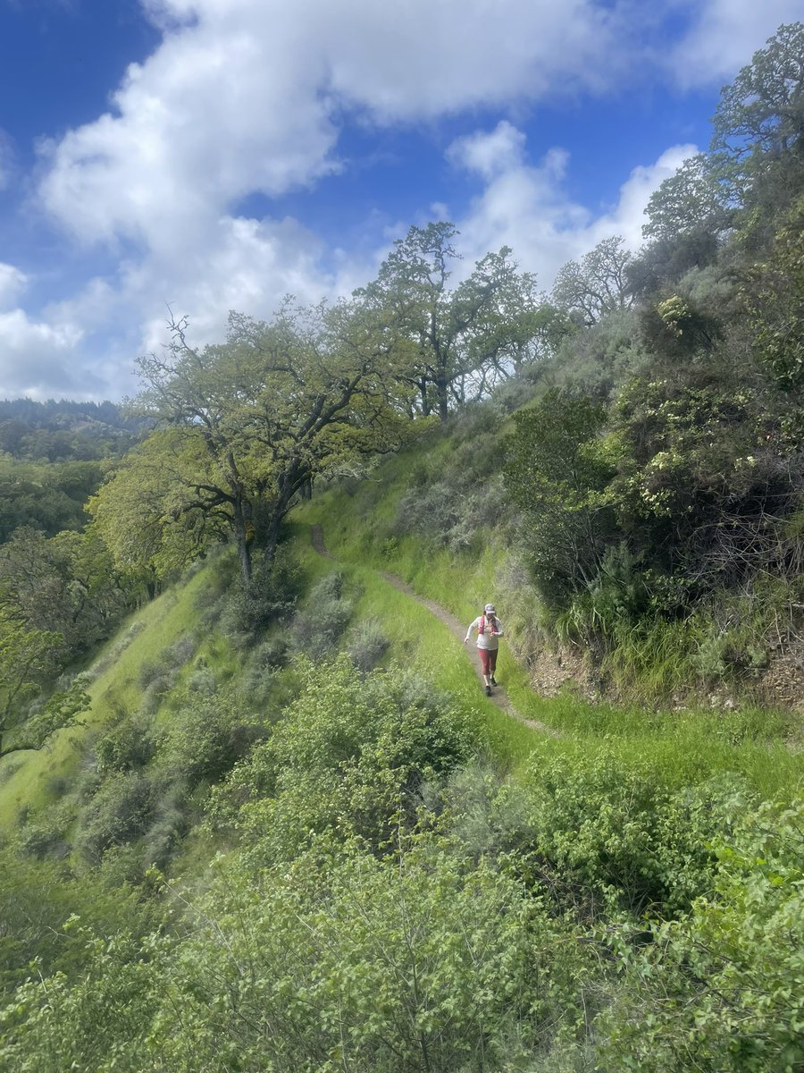 Hoping you all can get out and get in a good run this weekend!

#bayarearunning #running #fleetfeet #fleetfeetmenlopark