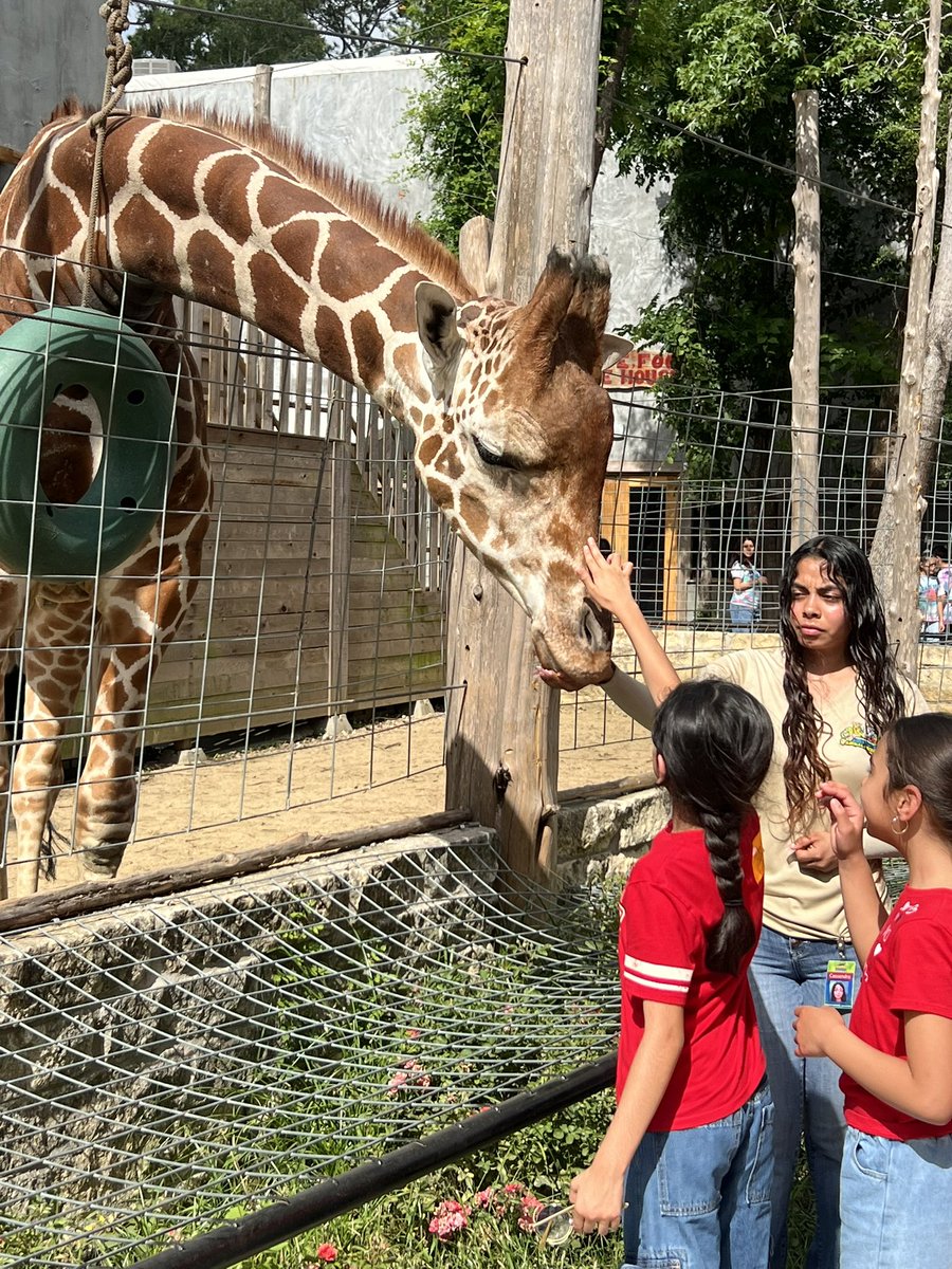 Leah Saintes-Martinez M.Ed. (@lsaintes) on Twitter photo Our <a href="/CFISDEmmott/">Emmott Elementary</a> 3rd and 5th graders had a great time today at the Houston Interactive Aquarium.
Thank you to our fabulous <a href="/CFISDbus/">CFISD Transportation Services</a> drivers for getting us to and from safely! Our <a href="/CFISDEmmott/">Emmott Elementary</a> 3rd and 5th graders had a great time today at the Houston Interactive Aquarium.
Thank you to our fabulous <a href="/CFISDbus/">CFISD Transportation Services</a> drivers for getting us to and from safely!