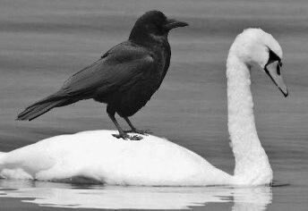 farnnesse's tweet image. I will find you in every universe (threat)