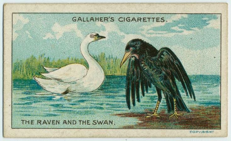 farnnesse's tweet image. I will find you in every universe (threat)