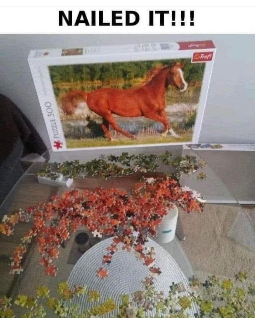 HelpATeacher's tweet image. 😂🤣