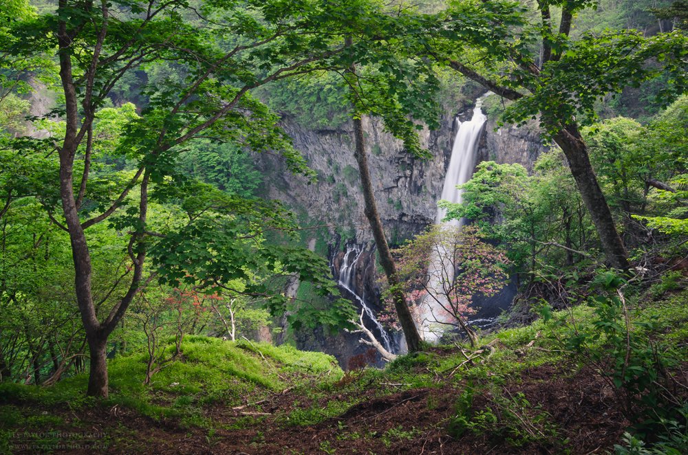 lestaylorphoto's tweet photo. @NikonUSA My first Nikon was the D70. I learned a ton on that camera before upgrading to the D7000. That was the first camera where I felt like I could produce what I envisioned in my mind. Opened the world of photography for me! Now use Z7 - great camera! (1) D70, 2007 (2) D7000, 2014 https://t.co/s2n0tDst4m