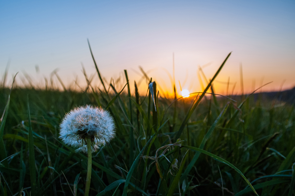 lestaylorphoto's tweet photo. @NikonUSA My first Nikon was the D70. I learned a ton on that camera before upgrading to the D7000. That was the first camera where I felt like I could produce what I envisioned in my mind. Opened the world of photography for me! Now use Z7 - great camera! (1) D70, 2007 (2) D7000, 2014 https://t.co/s2n0tDst4m