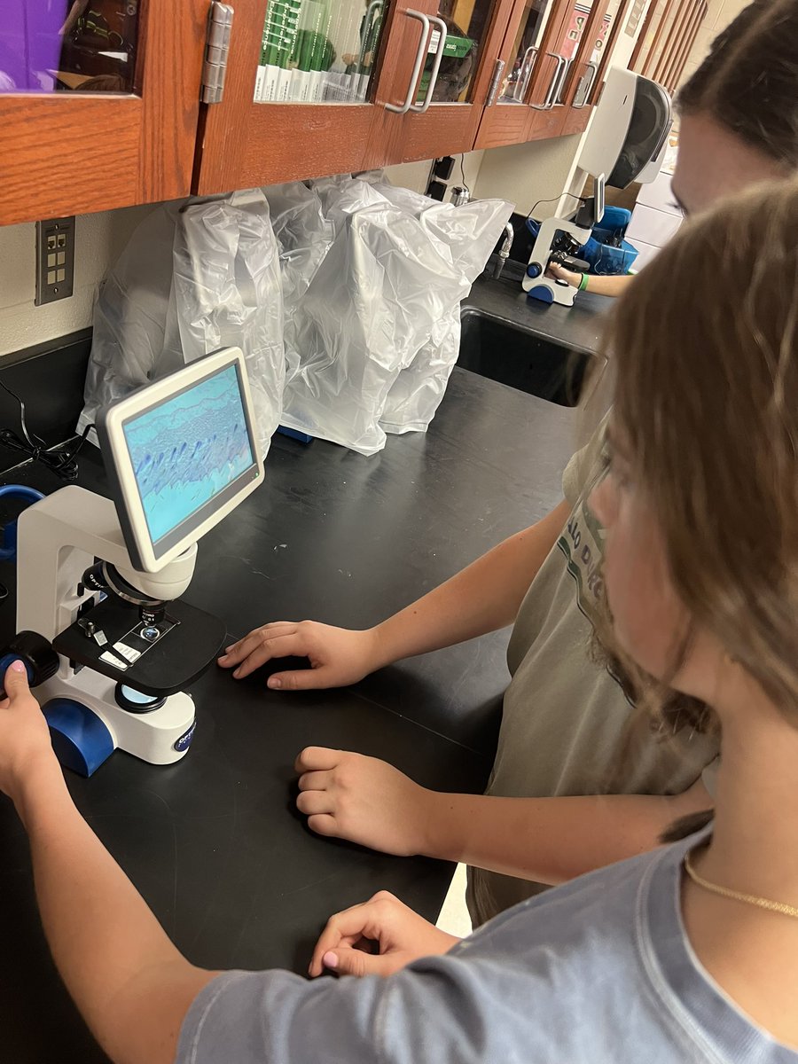 Kristen Adams tweet media