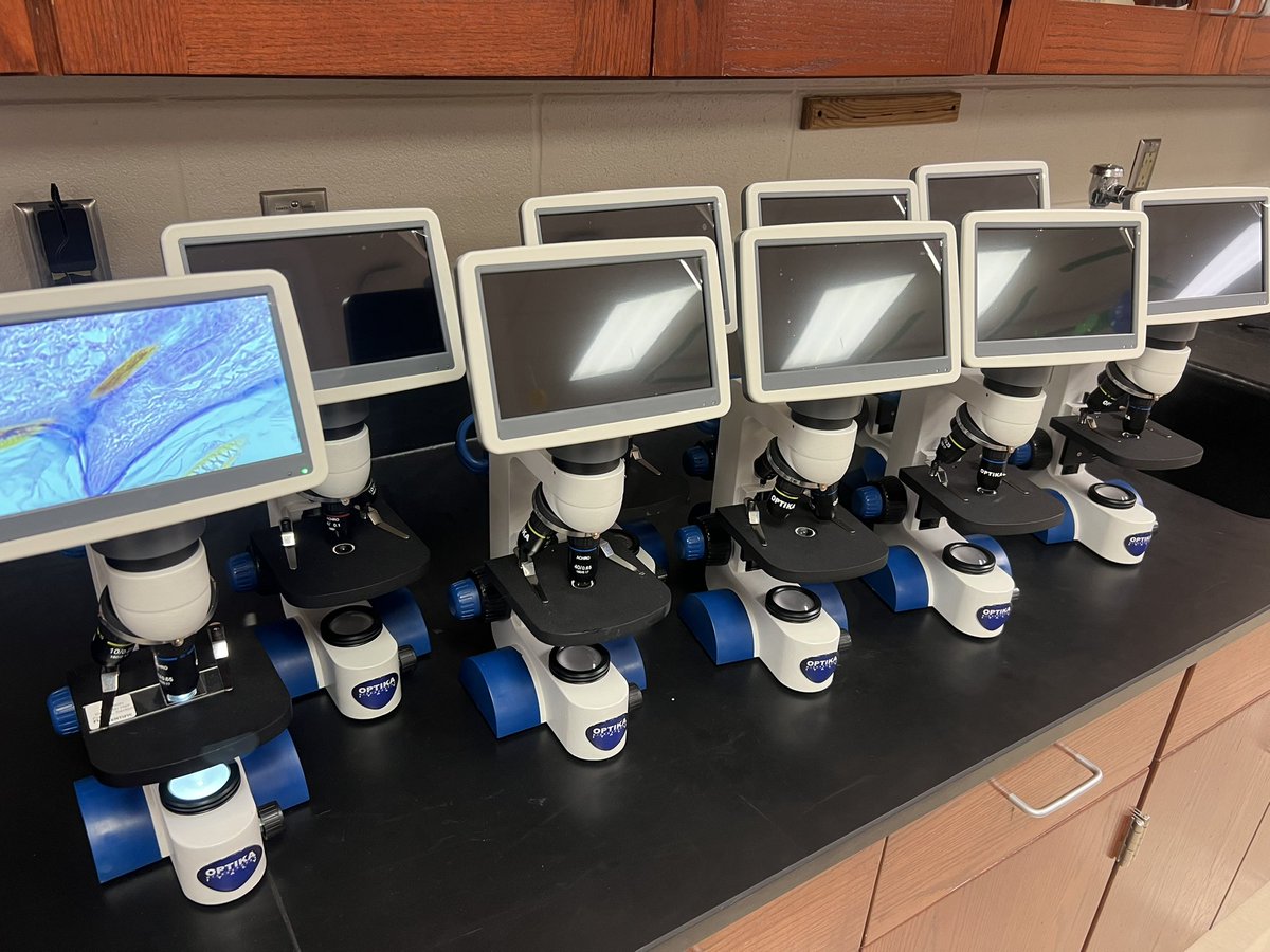 Kristen Adams tweet media