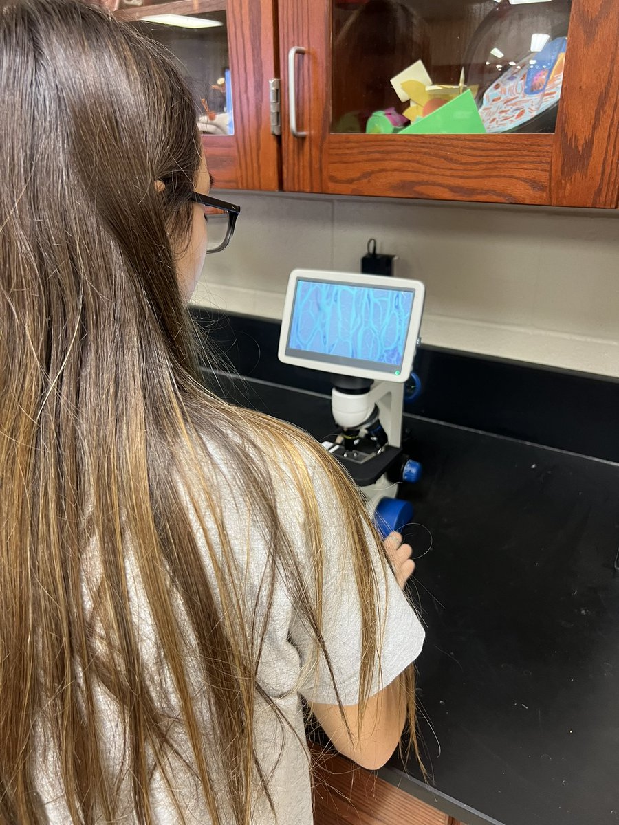 Kristen Adams tweet media