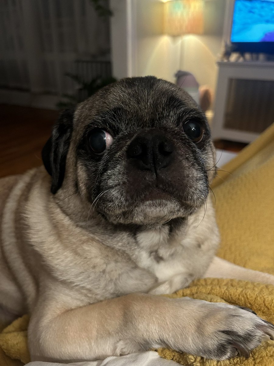 ryann thompson (@ryannbree) on Twitter photo 