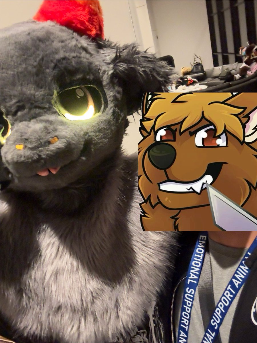 PiousWolf ➡️ FWA (@piouswuff) on Twitter photo Ooh wow! Another photo of THE <a href="/hyypnosis/">Hyypnosis 🔥 🔜DENFUR</a> and myself??? Damn, I miss this con already… 😭 Ooh wow! Another photo of THE <a href="/hyypnosis/">Hyypnosis 🔥 🔜DENFUR</a> and myself??? Damn, I miss this con already… 😭