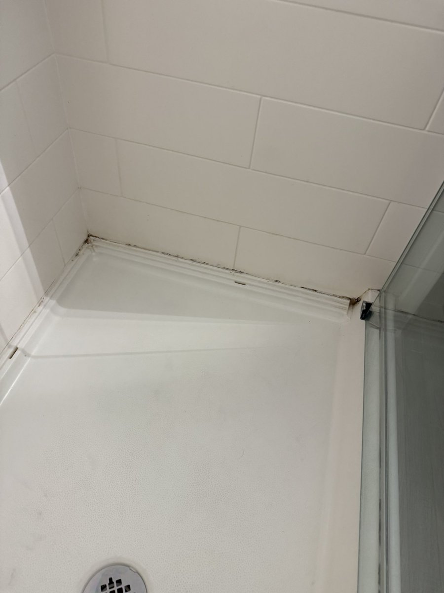 Bayourouxtiger tweet media