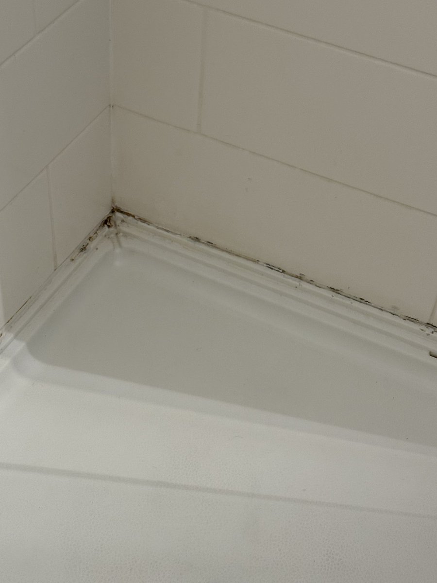 Bayourouxtiger tweet media