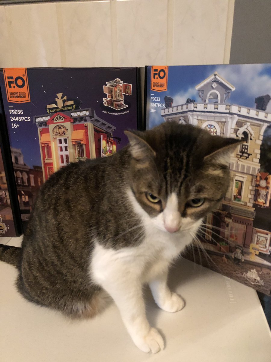 Boris Kitty tweet media