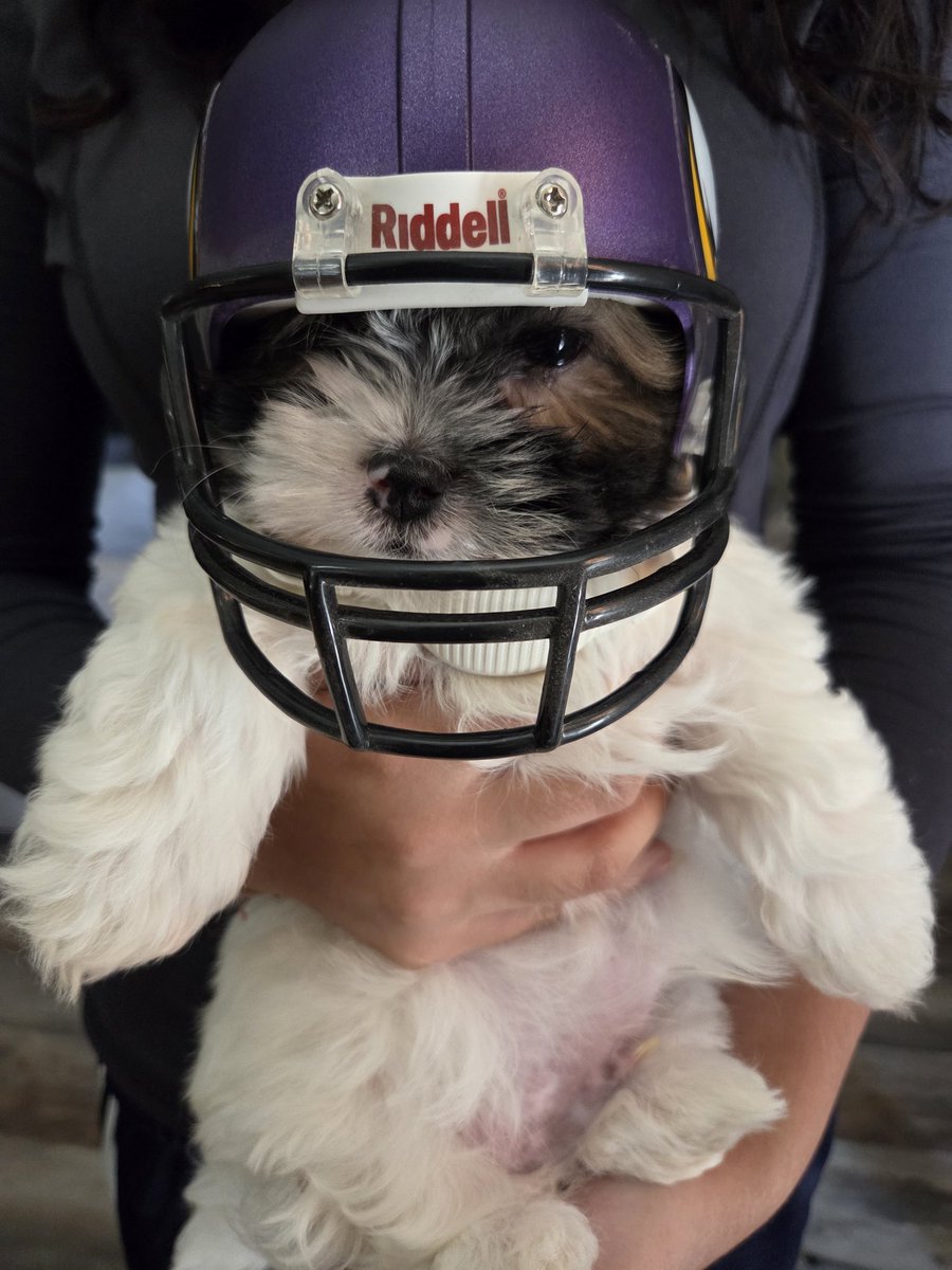 TheJoeFresh tweet media