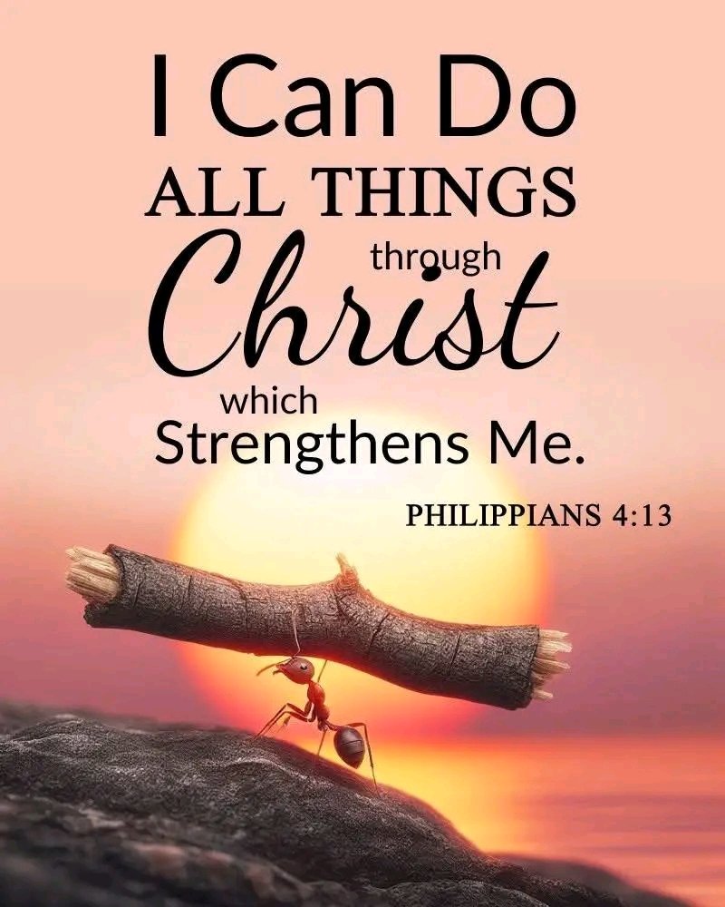 Holy Bible (@holy__bible1) on Twitter photo PHILIPPIANS 4:13 PHILIPPIANS 4:13