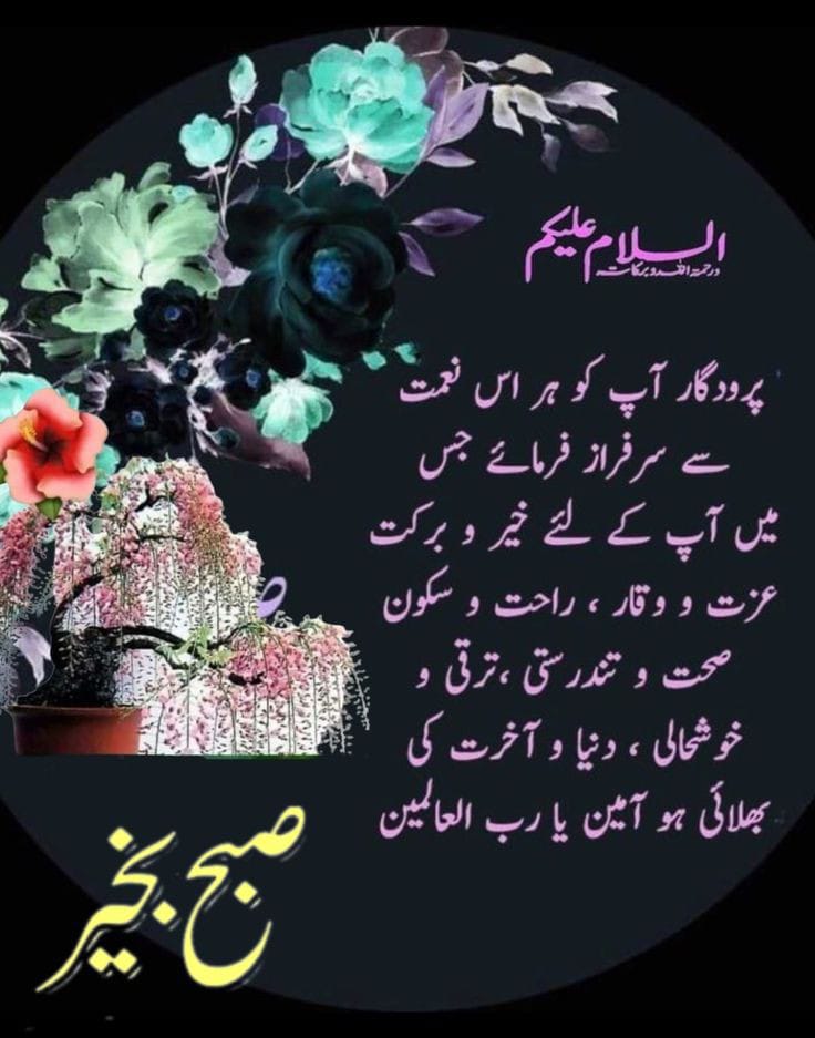 اسلام وعلیکم ورحمتہ اللہ وبرکاتہ 
صبح بخیر ہوں میری پیاری X فیملی 
صل اللہ علیہ وآلہ وسلم 
دعا میں یاد رکھیں گا پیارے دوستوں 
Aslamoalicum 
Good morning