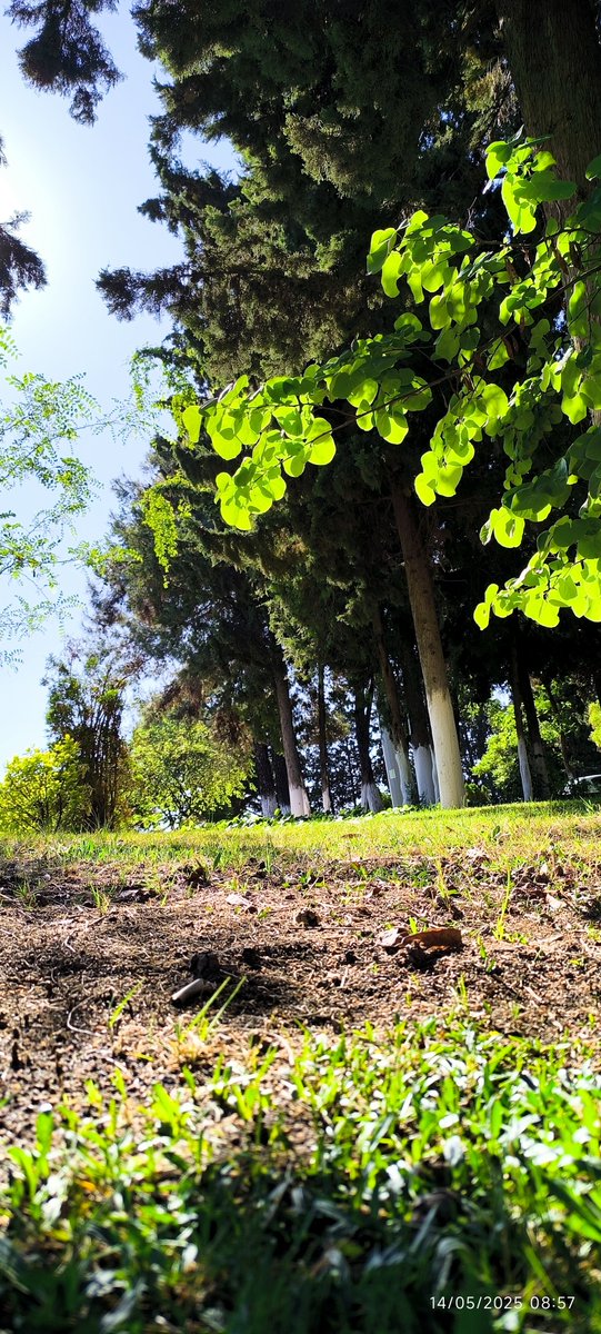 hasankorsen's tweet image. 📌#RedmiNote13 ProPlus5g 
#Turkey in #Gaziantep AI/📸 
#XiaomiMasterExperience