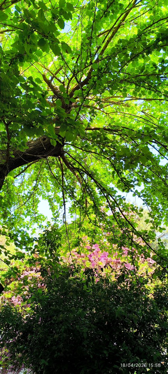 hasankorsen's tweet image. 📌#RedmiNote13 ProPlus5g 
#Turkey in #Gaziantep AI/📸 
#XiaomiMasterExperience