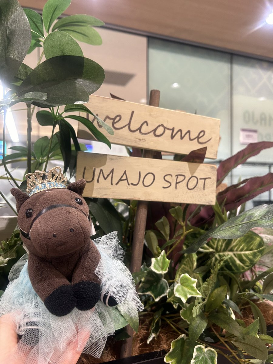 きるしぇ🥕 刈谷アニコレ (@Kirsche0216) / Posts / X