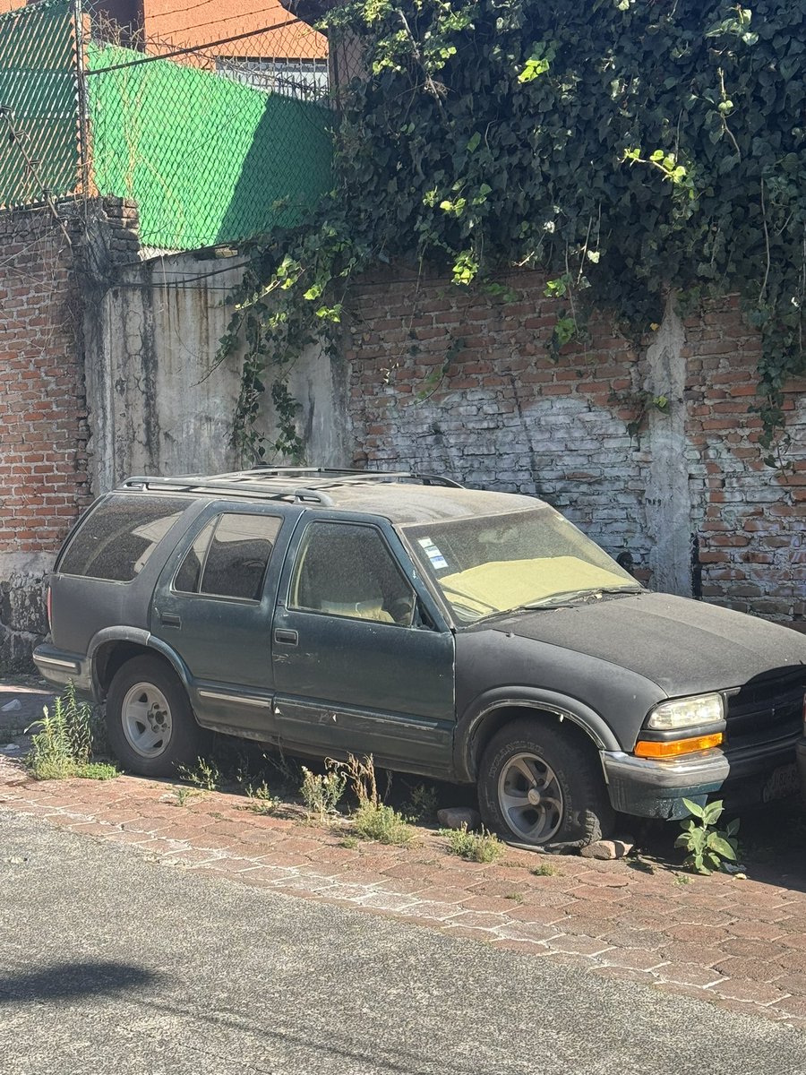 tropoman1982's tweet photo. @UCS_GCDMX @locatel_mx No ha pasado nada….las plantas de ajo de los carros siguen creciendo!!! Como que ya es parte del paisaje. https://t.co/YyE3Suhvub