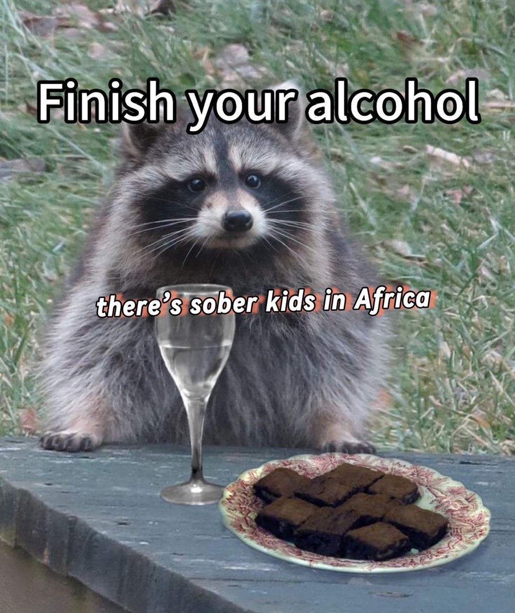 raccoonesthetic's tweet photo. https://t.co/zgEAKO1FCd
