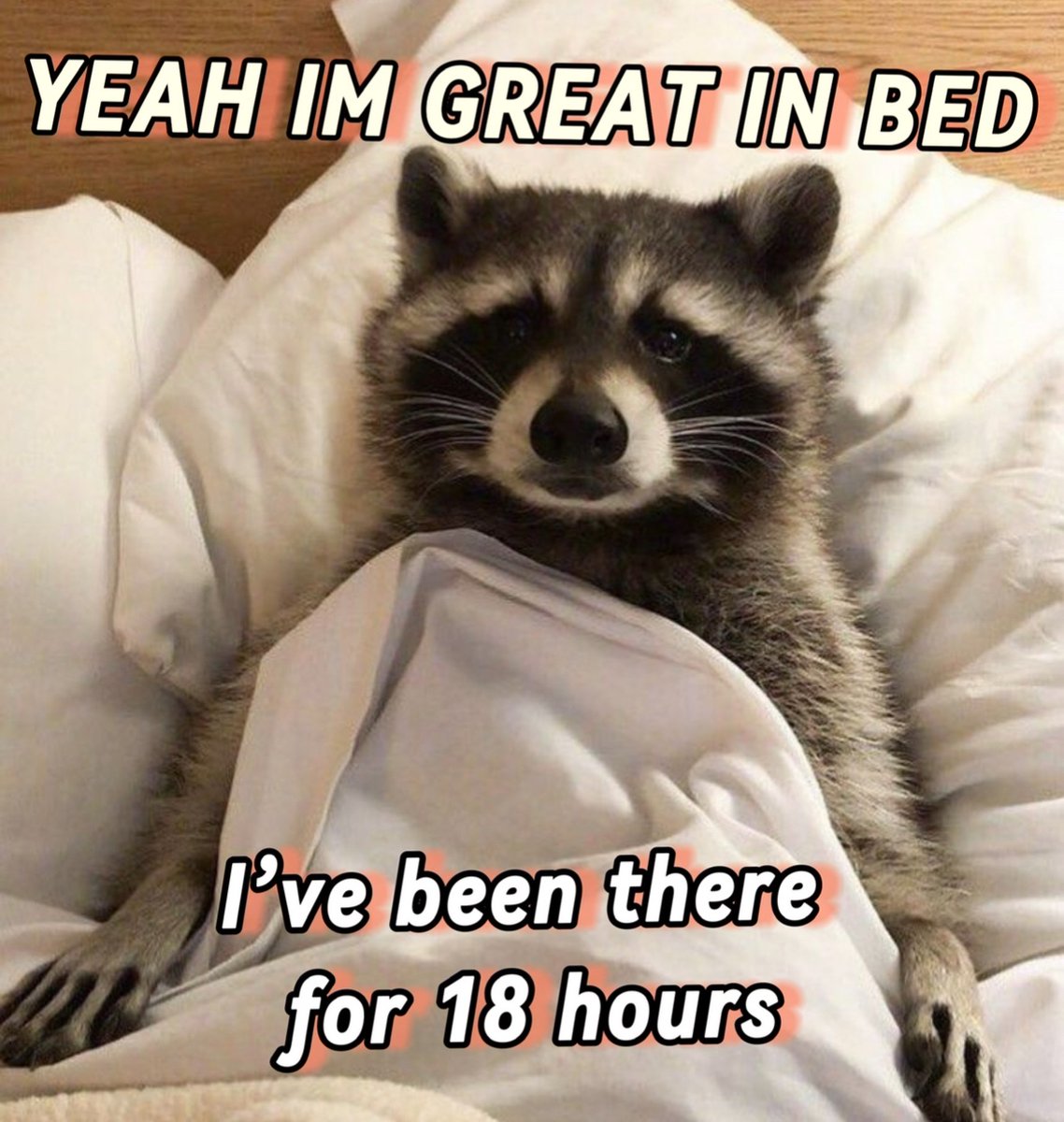 raccoonesthetic's tweet photo. https://t.co/VNaQMhRhWr