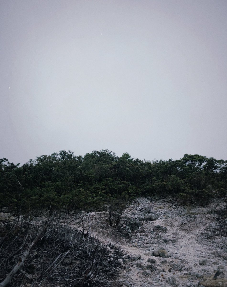 riobcsl's tweet photo. Kapoy ug gasto ning masakitan ta uy. Makapamukid tag wa sa oras 😅🍃⛰️ https://t.co/he2MSGB3bk
