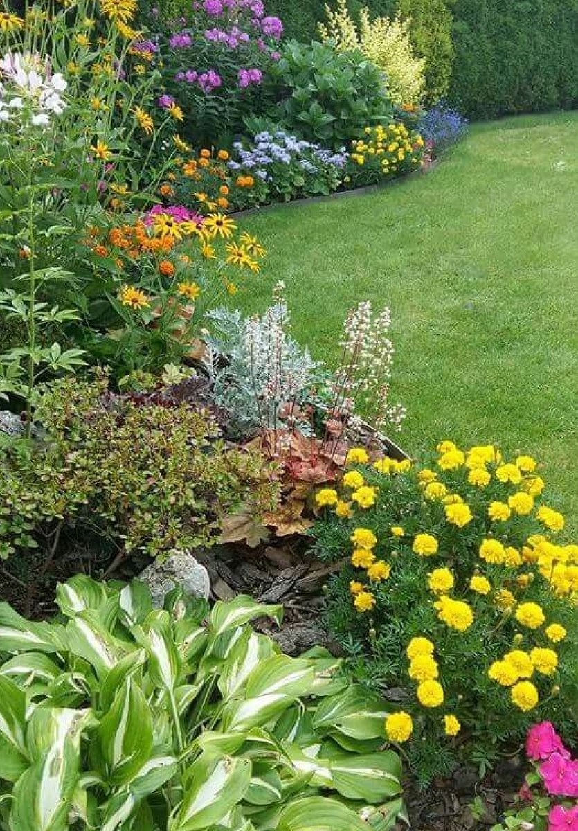 Learn to have a nice place for yourself an also make sure nature is always with you ❤💐🌻🌹🌷