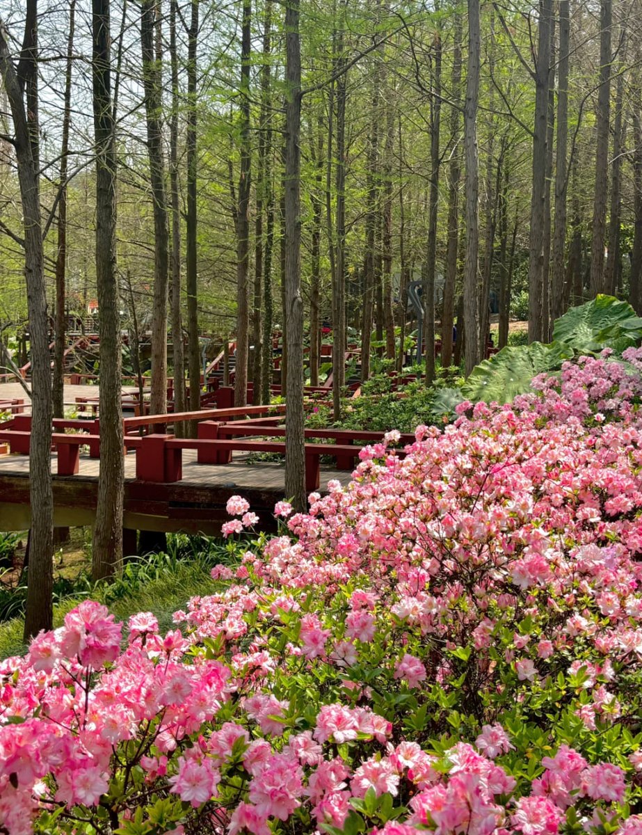🍂 花園の隅々には隠された秘密がある 🌈
