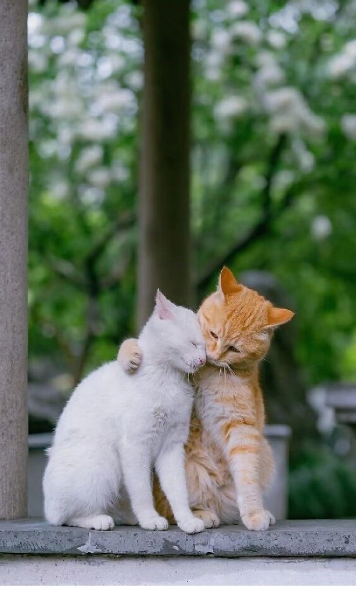 ❤ love us beautiful ❤