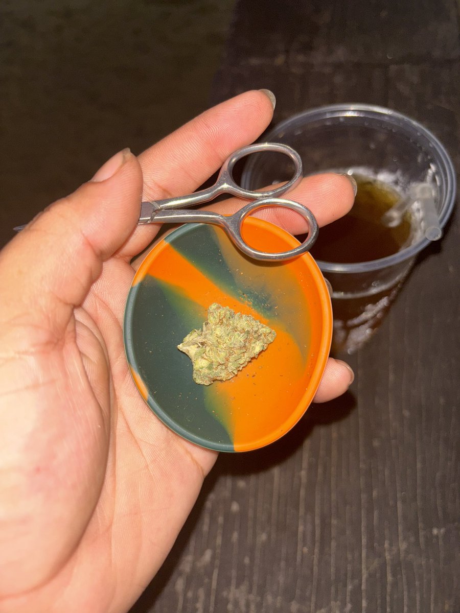 a da vez 
com pren pren na mente desde cedo amo maconha 🫩😶‍🌫️