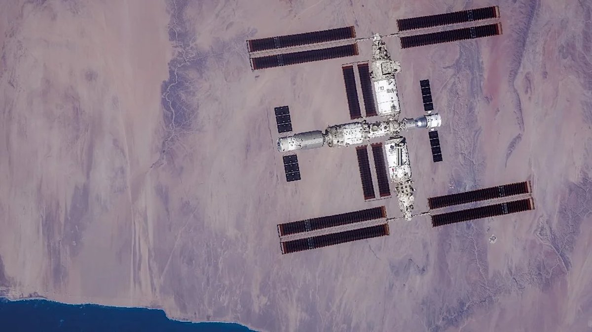 SciencNews's tweet photo. Niallia tiangongensis sp. nov., isolated from the China Space Station. #TIC2025 

https://t.co/Ii4chy2gPH https://t.co/YDHooCx6xk